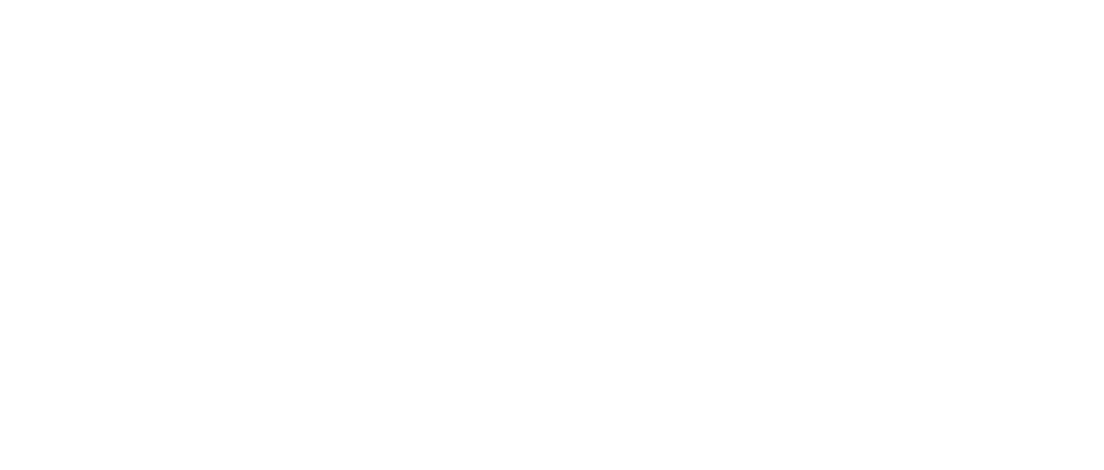 logo-diagnostica-minerva-white